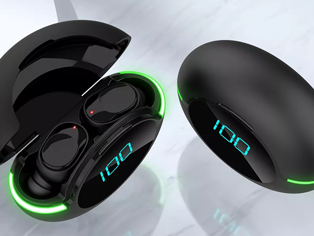 BestBuds TWS Earbuds with Wireless Digital Display Charging Case