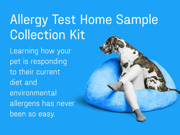 DNA My Dog Canine (Allergy Test Only)