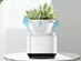 Micro-Ecological Desktop Air Purifier with Plant Pot