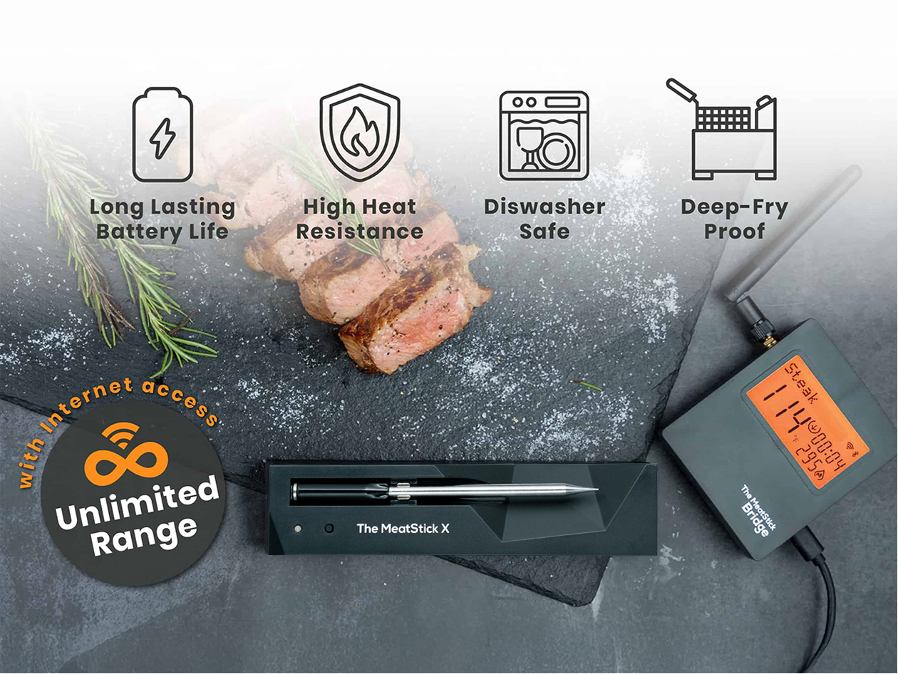 MeatStick X WiFi Travel Kit