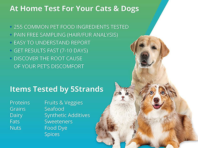 5Strands Pet Food Intolerance Test