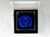 La Nota: Forever Rose with Personalized Message (Blue)