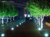 Runway Solar LED Lights Set