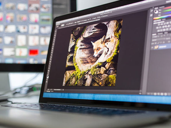 Mastering Adobe Lightroom - Product Image