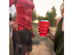 Collapsible Drink Tumbler - Ember