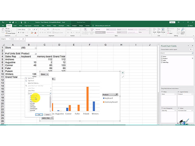 The Essential Excel for Beginners Course