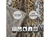Animal Print Knit Throw (Leopard)
