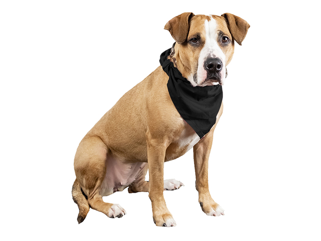 Mechaly 4 Pcs Plain Cotton Pets Dogs Bandana Triangle Shape  - Large & Washable - Black