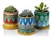Greenaholics 3" Succulent Ceramic Planter Pots (Pack of 3)