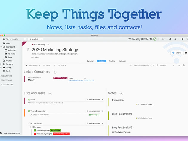 Pagico 9: Task & Data Management Software