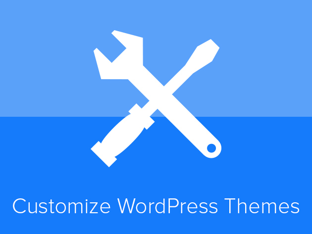 WordPress Pro Customization Course