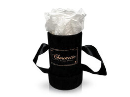 Chounette La Charmante Preserved Rose Set of 3 for Only $29.99 Shipped!