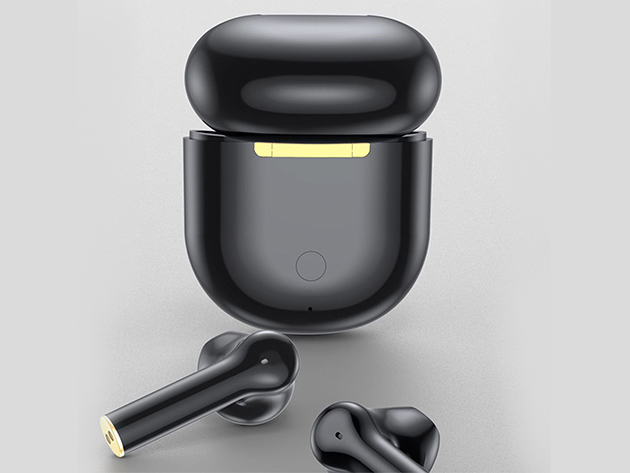 FitSmart Wireless Ear Buds (Black)