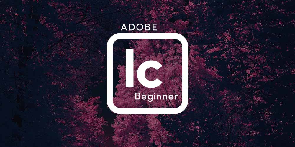 Adobe InCopy CC (Beginner)