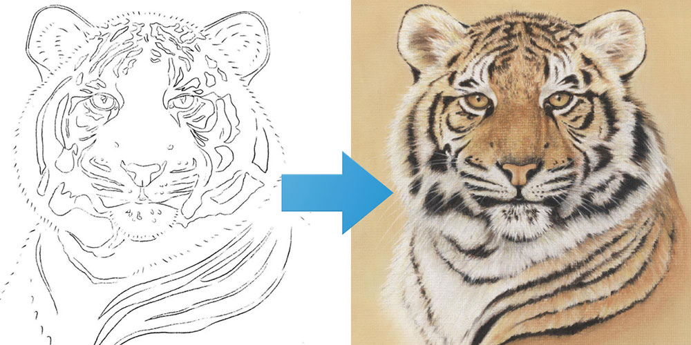 Draw a Tiger Using Just 6 Pastel Pencils