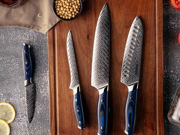 Seido Kanpeki Damascus 4-Piece Knife Set