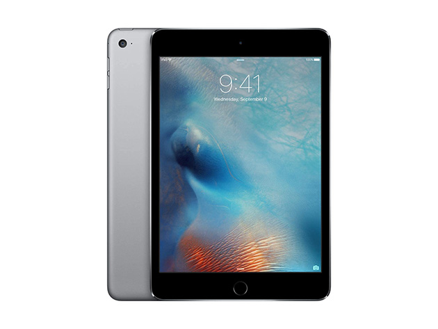 Apple iPad mini 4, 64GB - Space Gray (Refurbished: Wi-Fi Only ...