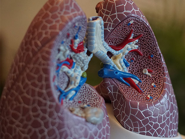 Medical Terminology of the Respiratory System