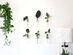 Iron & Spout Wall-Mounted Magnetic Propagation Set (Set of 9)
