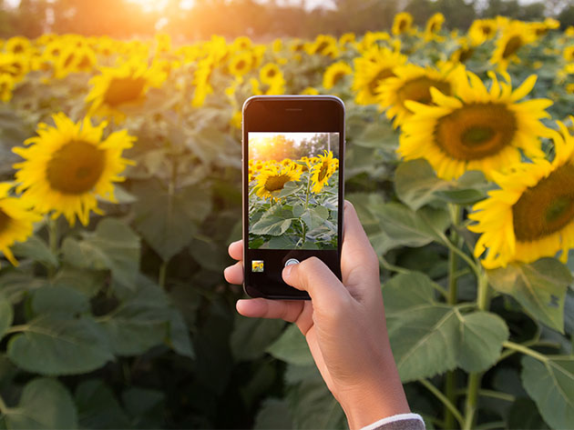 FREE: iPhone & Android Photography 4-Week Course