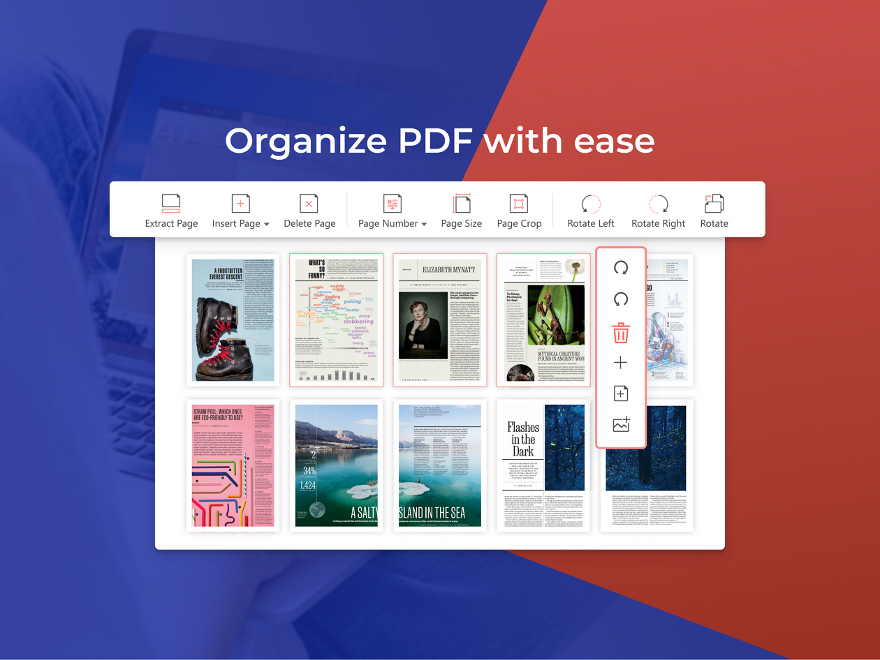 PDF Agile for Windows: Lifetime Subscription