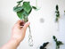 Iron & Spout Wall-Mounted Magnetic Propagation Set (Set of 9)
