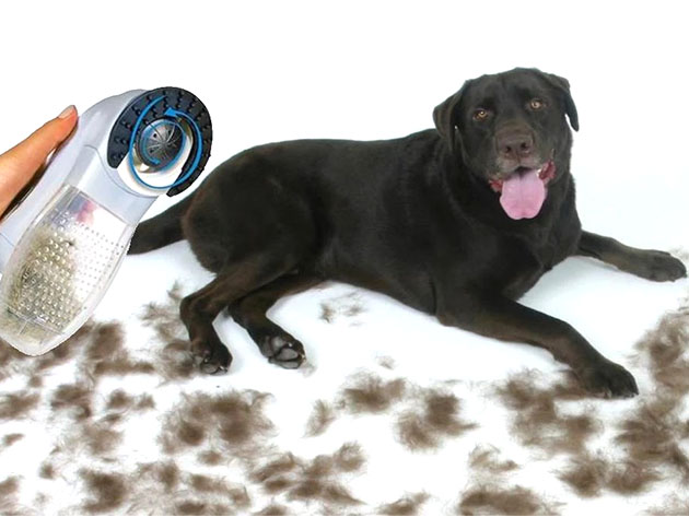 Cordless Pet Grooming Vacuum