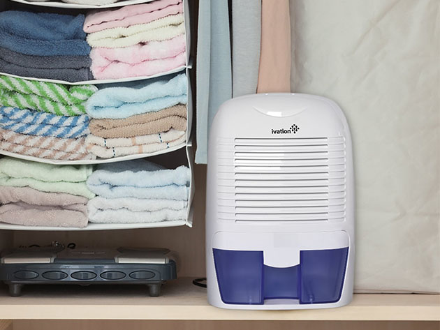 Ivation Medium Thermo-Electric Dehumidifier