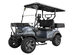 Phantom Scout 2-Seater Off-Road Electric Cart Gray