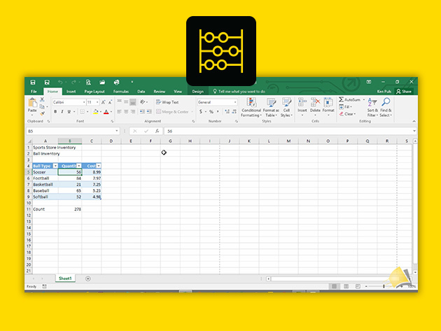 Microsoft Excel Pro Training for Mac & PC