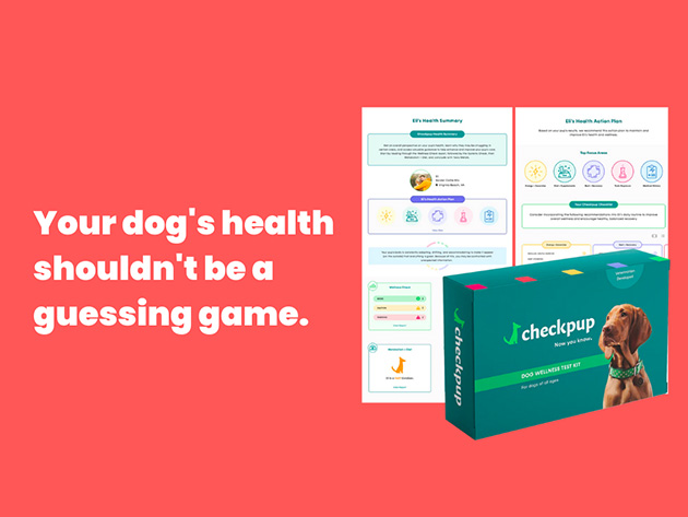 Dog Wellness Test Kit (4-Pack)