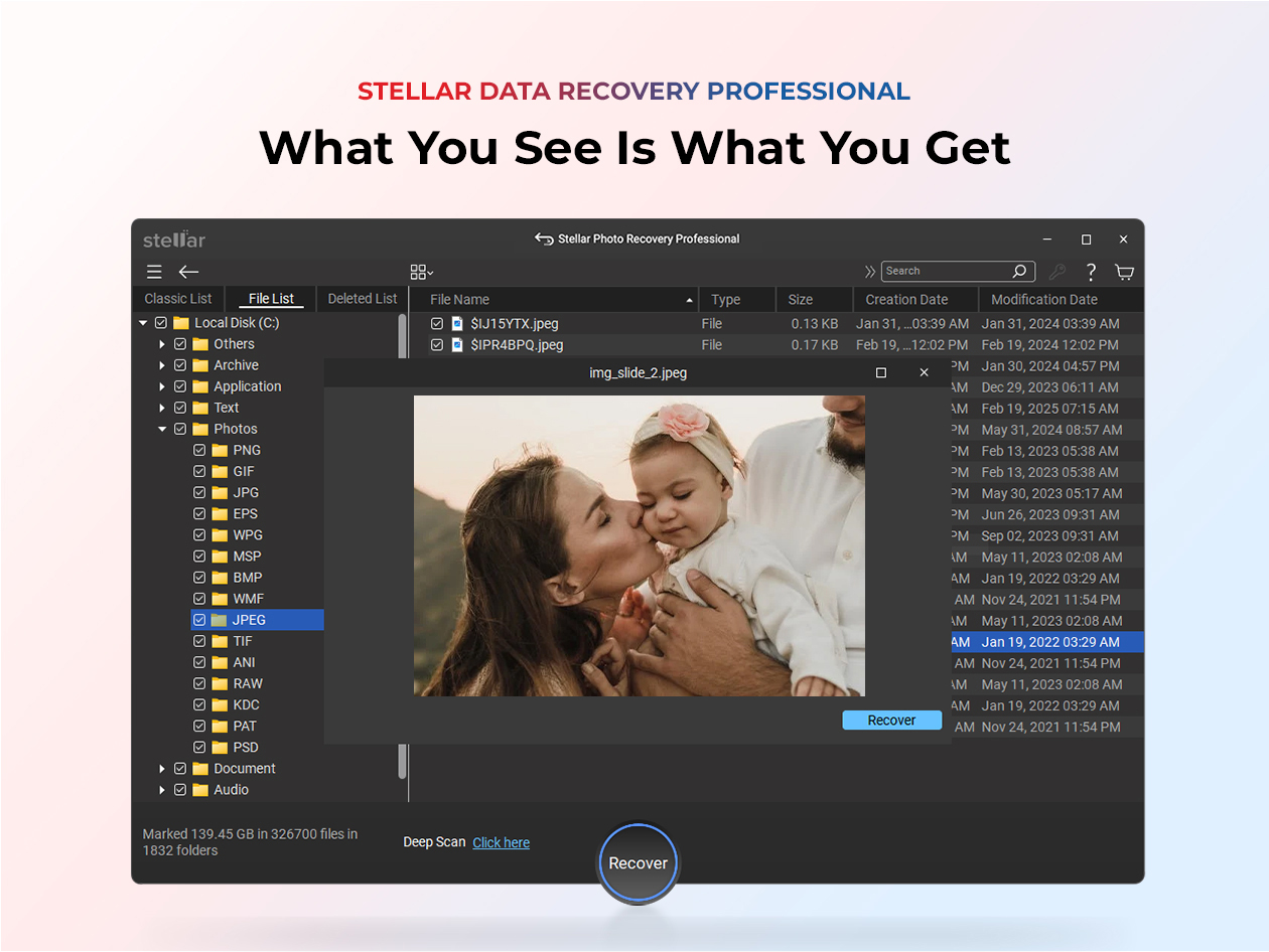 Stellar Data Recovery Professional Plan: 10-Year License