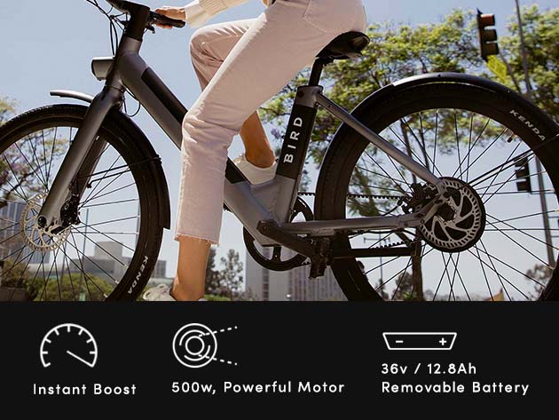 BirdBike eBike (V-Frame/Gray)