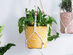 Potey 6.1" Yellow Cement Planter Flower Pot 