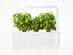 Smart Herb Garden Starter Kit & 3-Pack Refill (International)