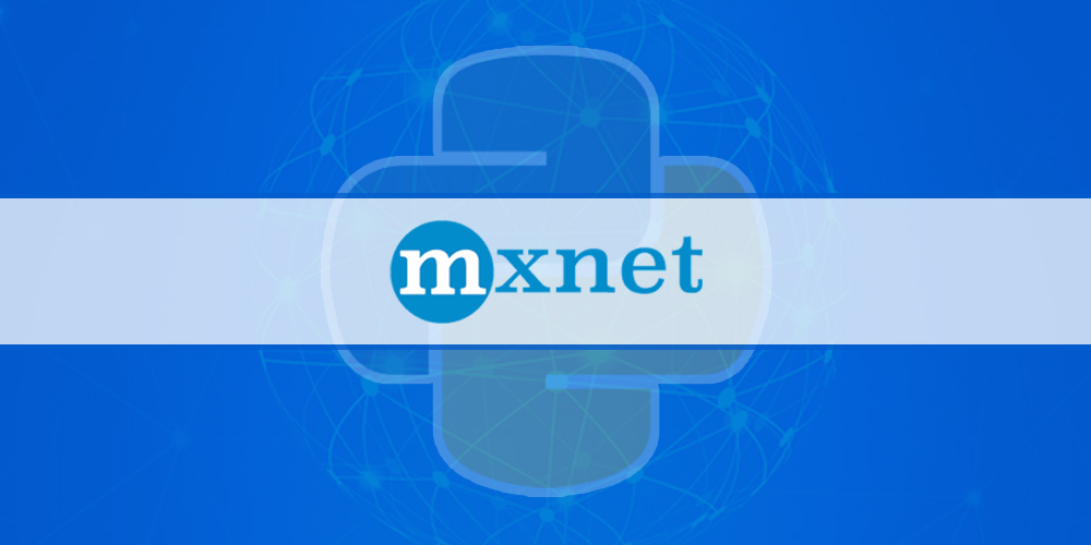 Learn by Example: Apache MXNet