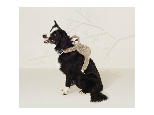 Hyde and Eek! Pet Sloth Rider Halloween Dog and Cat Costume, X-Large Size, Brown
