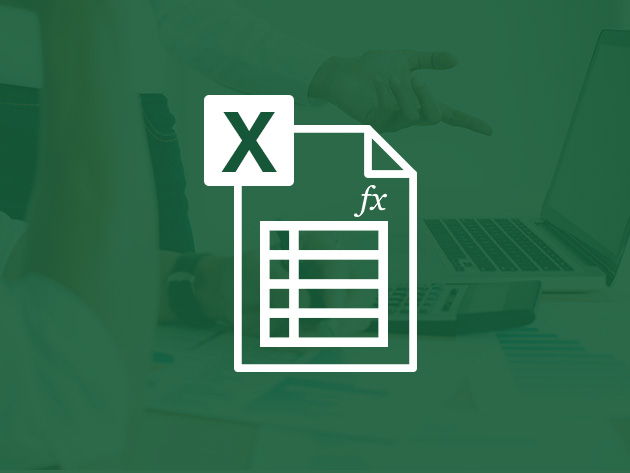 The Essential Excel for Beginners Course