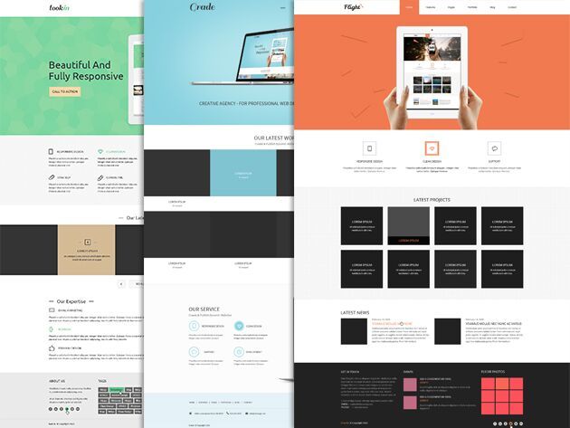 60 Website Templates & Wordpress Themes by Flashmint