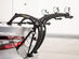 Saris Bones Bike Trunk Rack (EX 3)