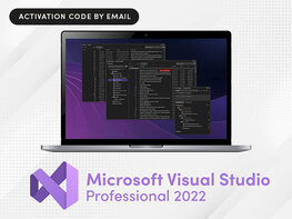 Microsoft Visual Studio Professional 2022