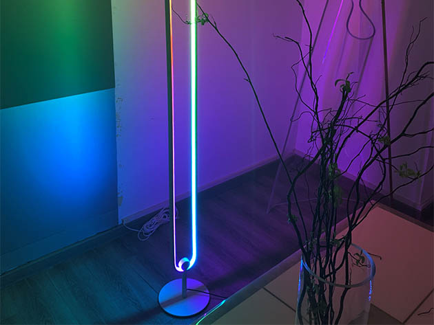 Lamp Depot Annular Color Floor Lamp (App)