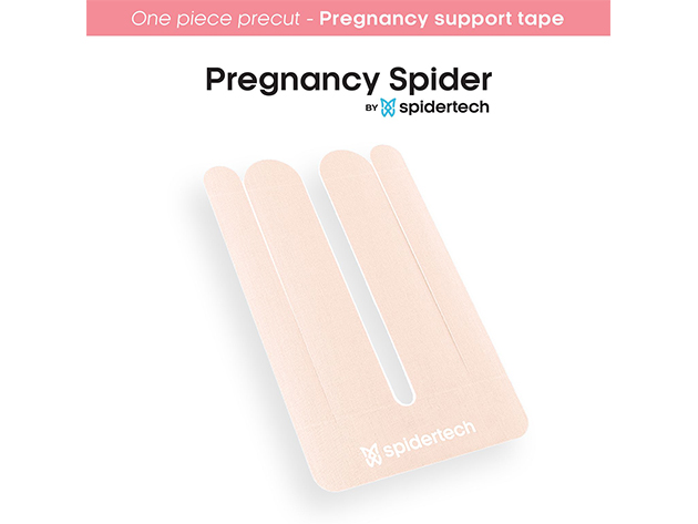 SpiderTech Pregnancy Spider (Gentle/10-Pack)