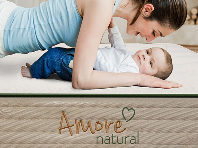 Amore 12″ Hybrid Foam/Coil Mattress Bundle (California King)