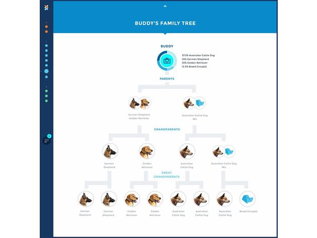 Wisdom Panel 3.0 Canine Dog DNA Test Kit Breed and Ancestry Information (new)