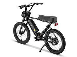 SWFT Z.X 500W Class-2 All-Terrain e-Bike with Pedal Assist, 53mi Range & 20mph Max Speed