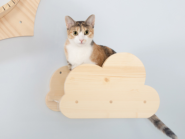 MyZoo Moku: Cloud-Shaped Wall Mounted Cat Shelves