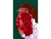 Girl's Mini Boden Sparkly Festive Animal Robin Bird Tee, 100% Cotton, Size: 9-10 Years Old, Green