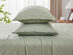 Kathy Ireland 4 Piece Heathered Jersey Knit Cotton Sheet Set (King/Olive)