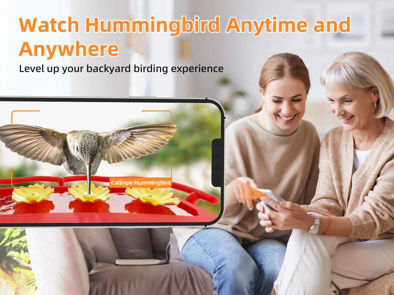 HummerHi Solar Powered Smart Hummingbird Feeder with Camera